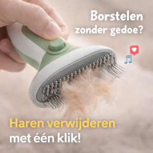 Anti-klit borstel 1